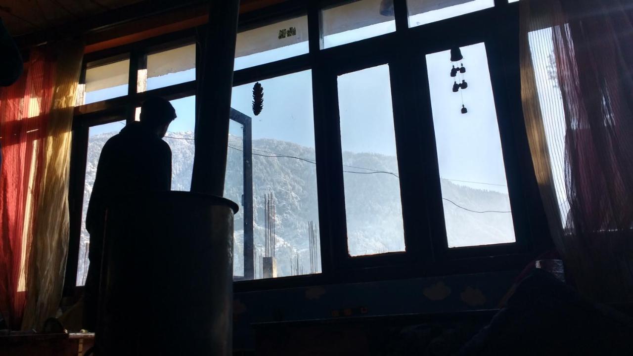 Antarctica & Manali (Himachal Pradesh)