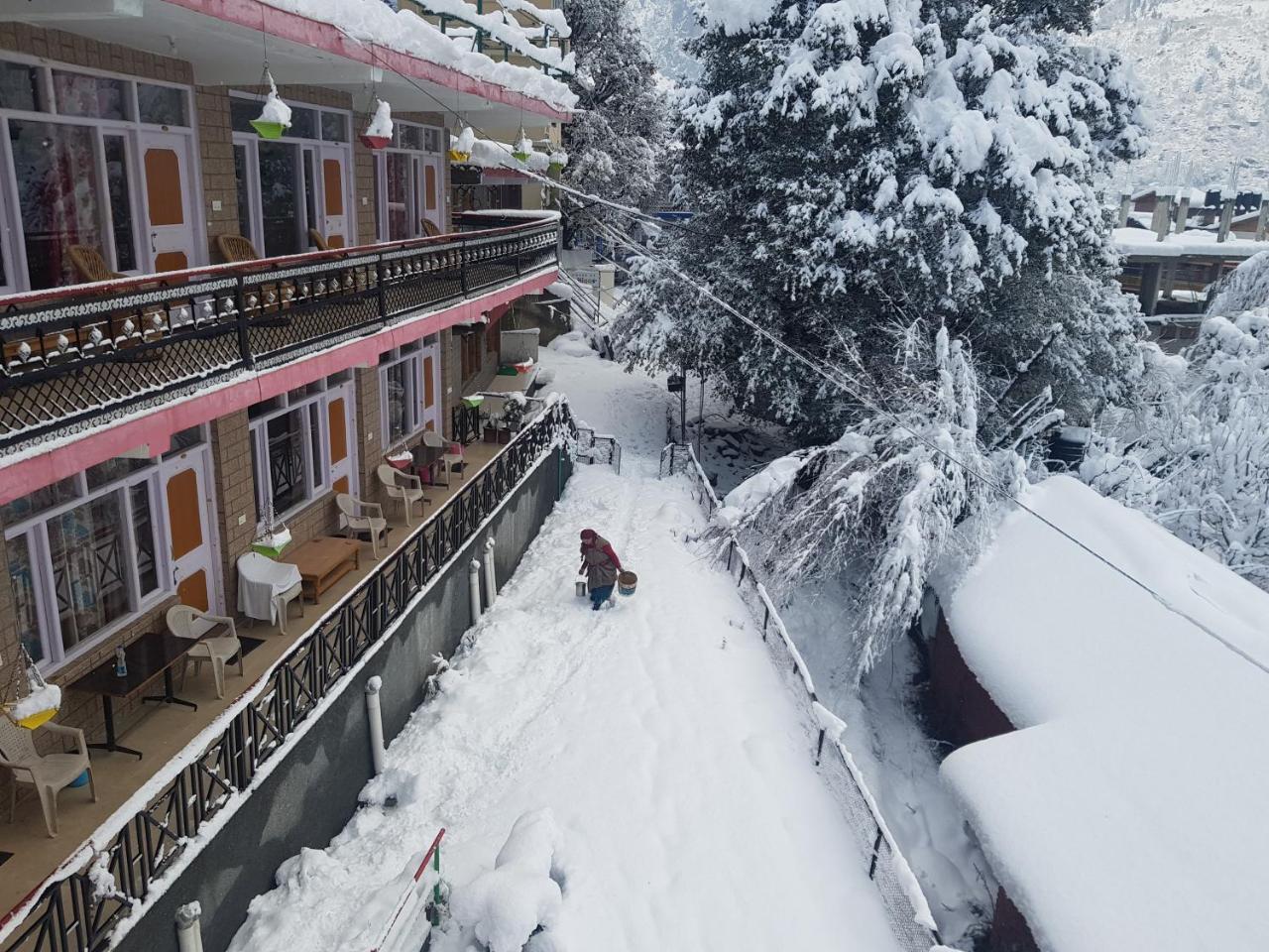 Lilly & Cafe Manali (Himachal Pradesh)