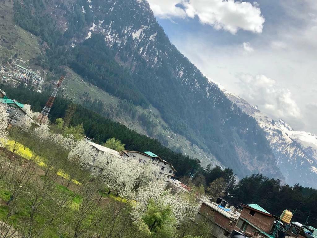 Drifter's & Cafe Guest house Manali (Himachal Pradesh)