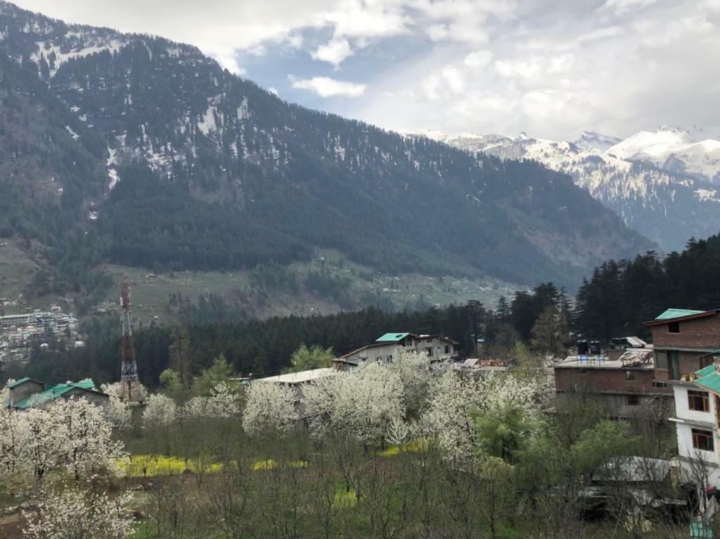 Drifter's & Cafe 3* Manali (Himachal Pradesh)