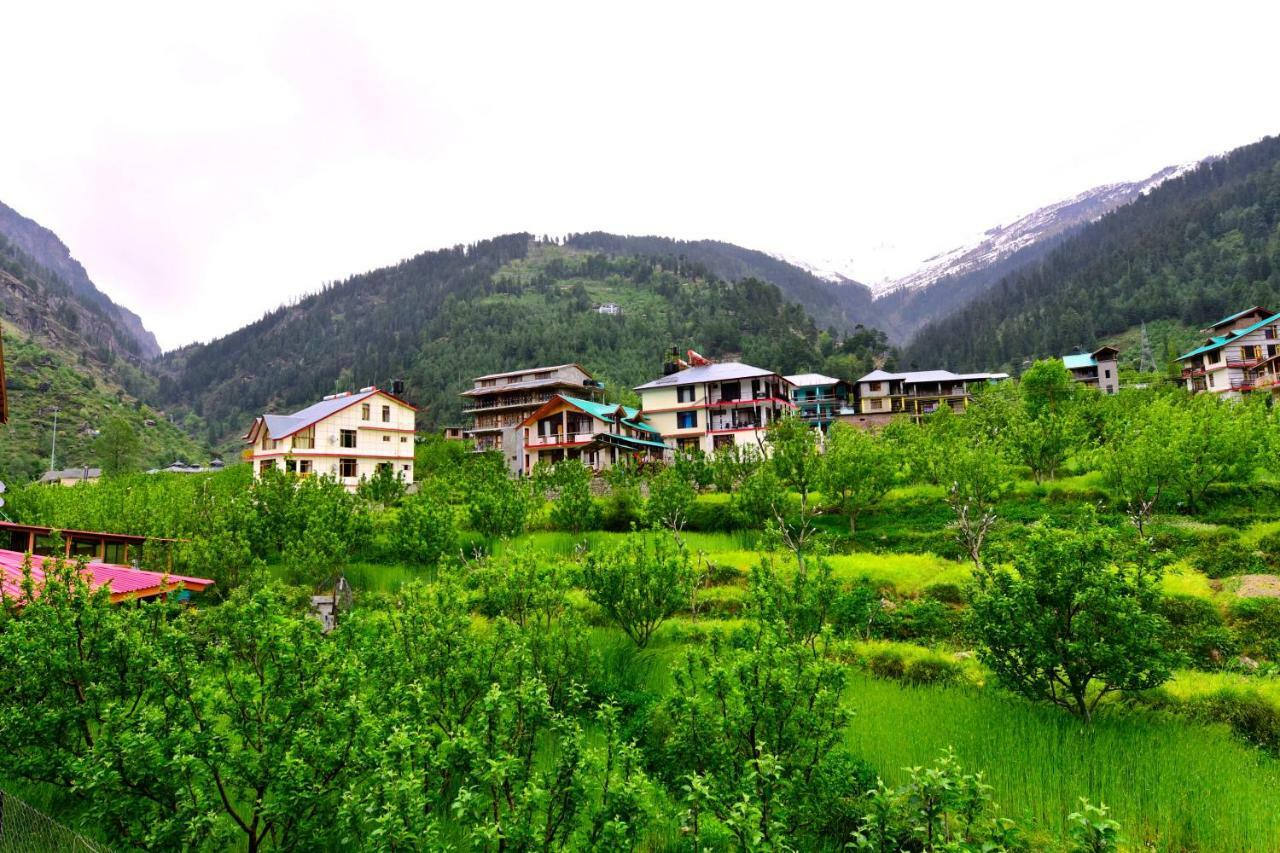 Oyo 38759 Tara Cottages Manali (Himachal Pradesh)