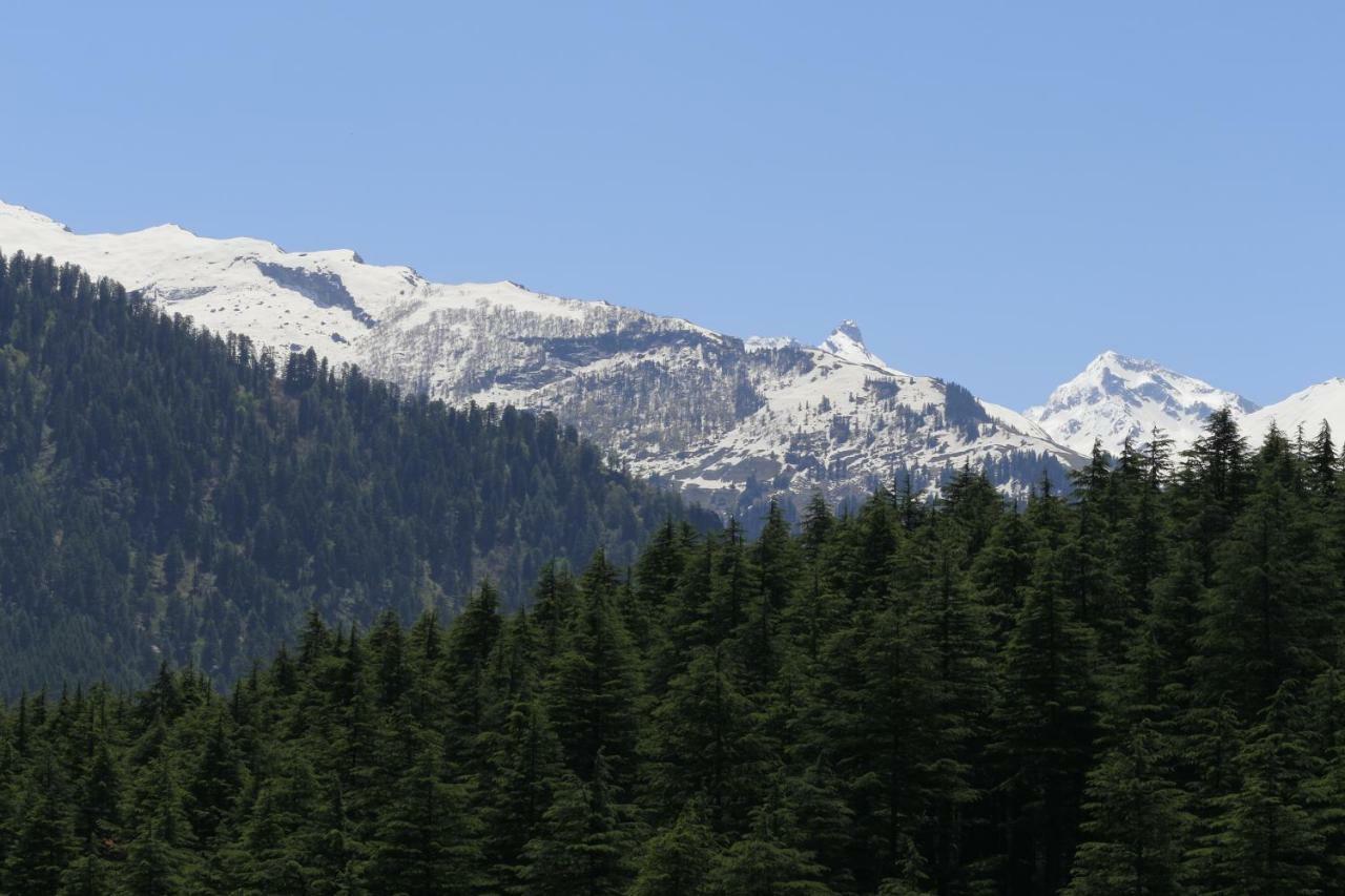 Resort Sparsh Manali (Himachal Pradesh)