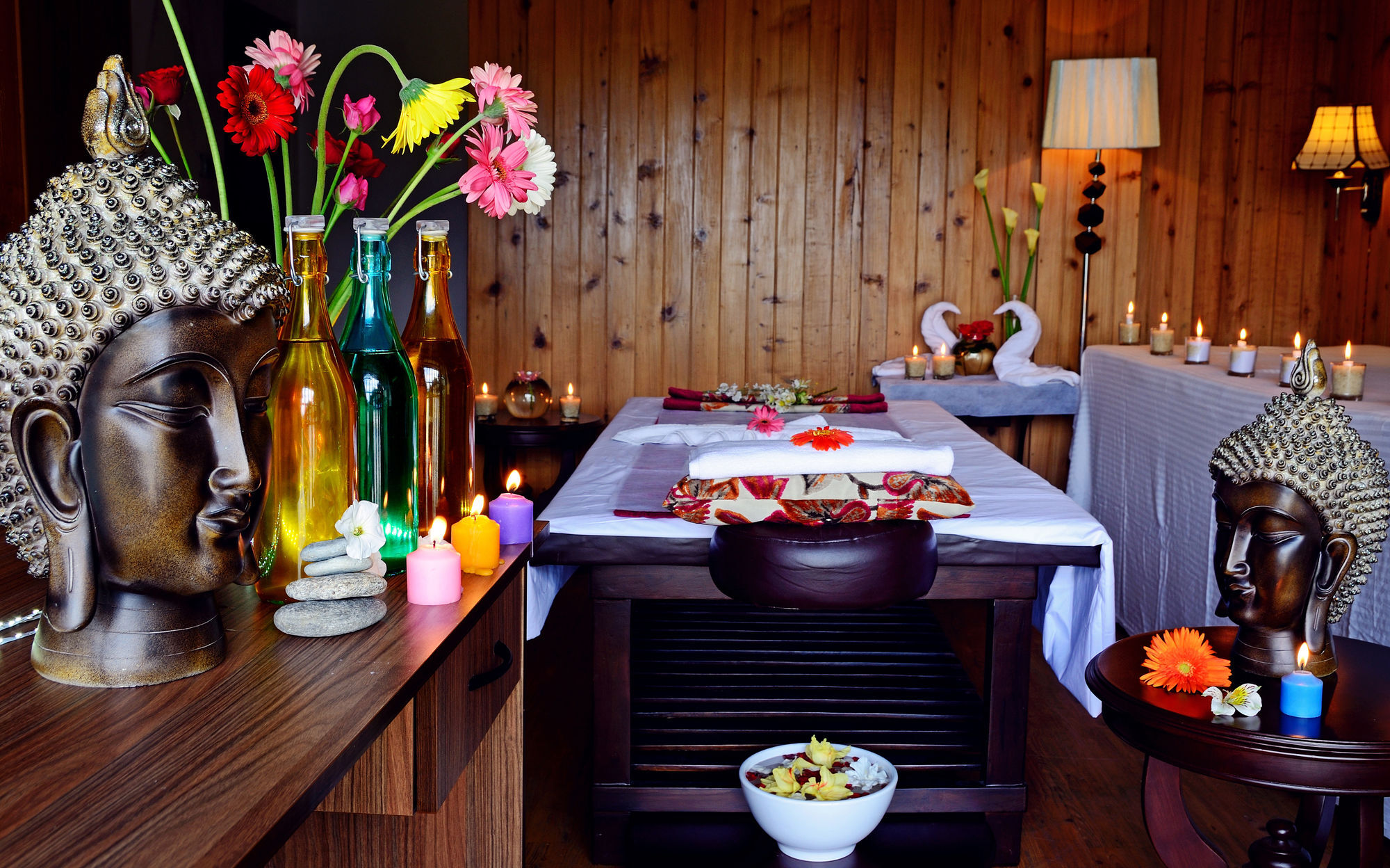 Hotel Chandertal Regency & Manali (Himachal Pradesh)