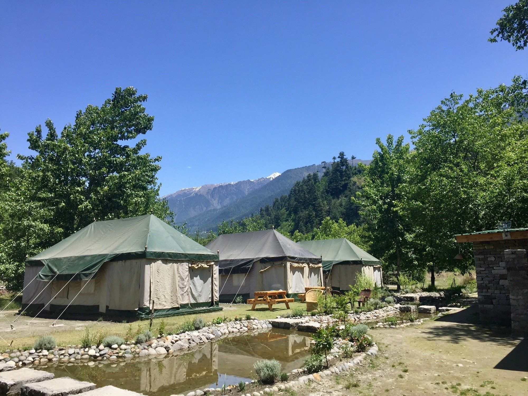 Tall Trees Hotel 3*