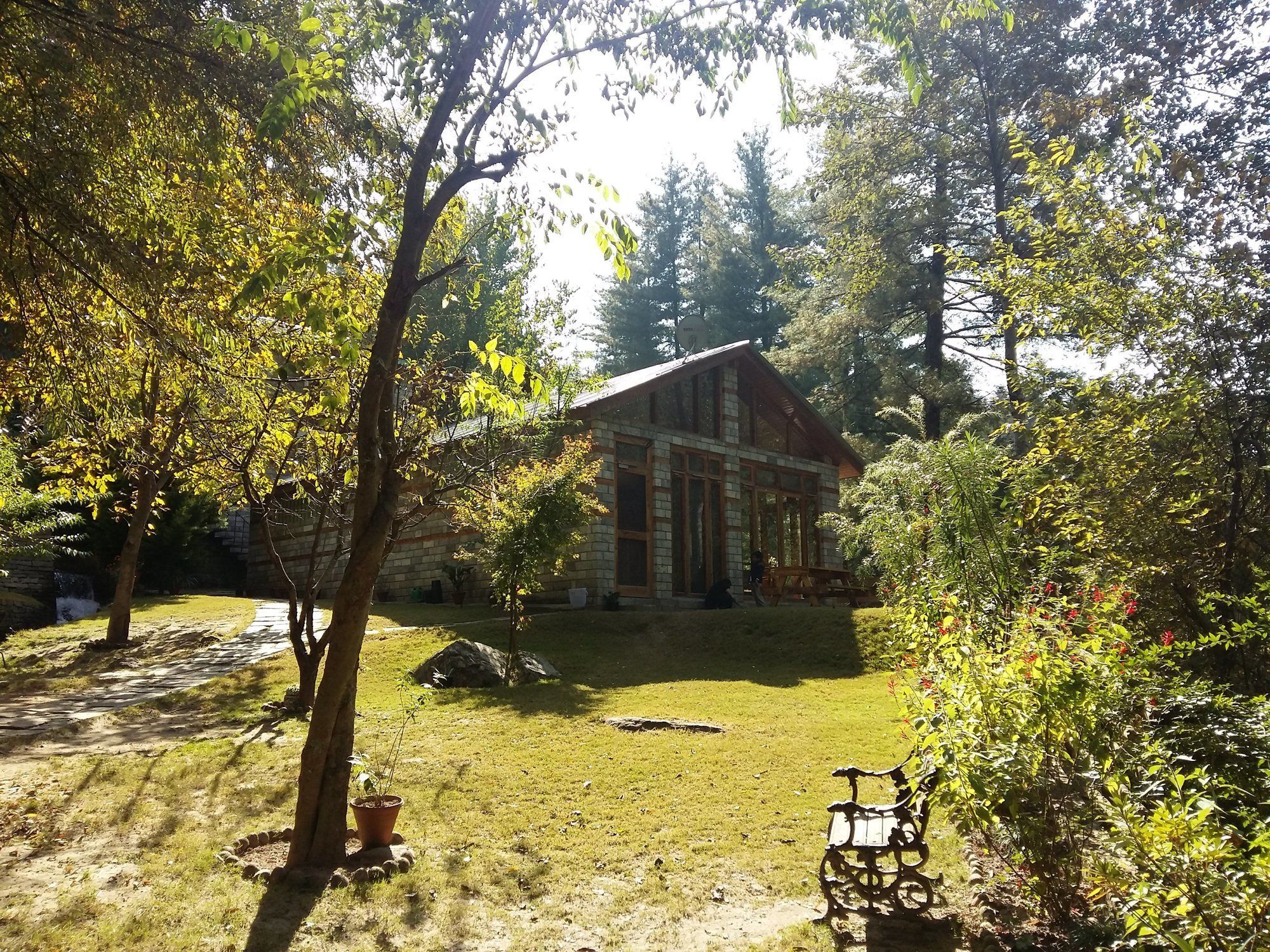 Tall Trees 3* Manali (Himachal Pradesh)
