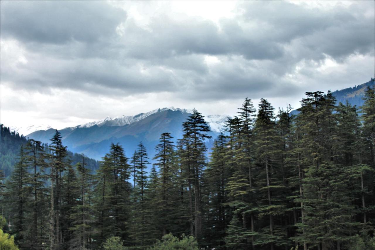 Hotel Nirvana Premium By Yoyo's World Manali (Himachal Pradesh)