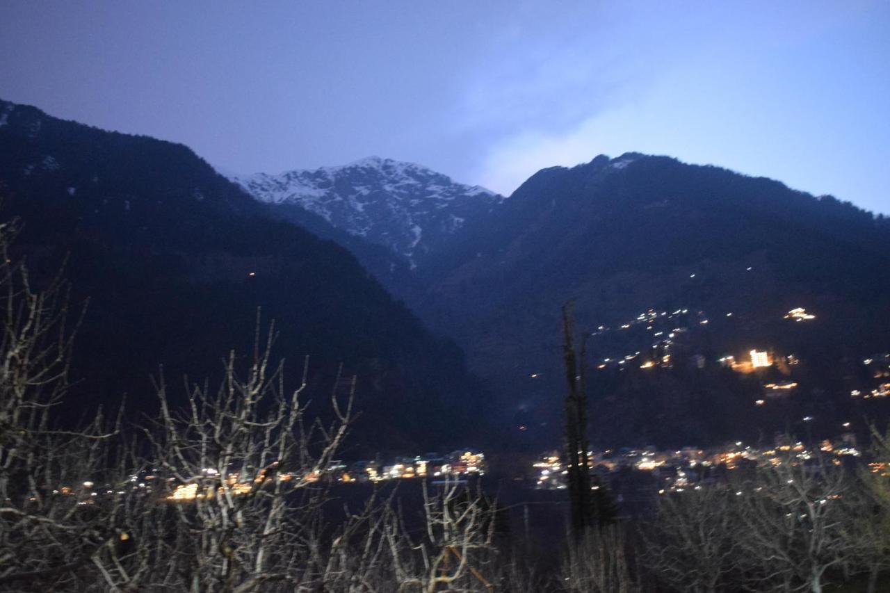 Mountain Face * Manali (Himachal Pradesh)