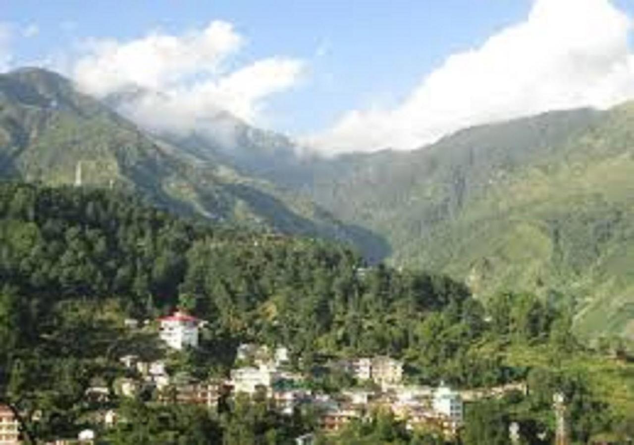 Hotel New Harmony Manali (Himachal Pradesh)